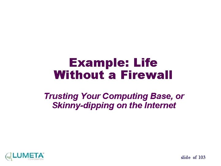 Example: Life Without a Firewall Trusting Your Computing Base, or Skinny-dipping on the Internet