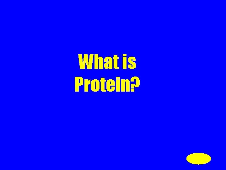 What is Protein? 