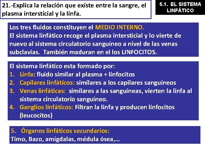 21. -Explica la relación que existe entre la sangre, el plasma intersticial y la