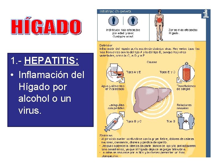 1. - HEPATITIS: • Inflamación del Hígado por alcohol o un virus. 