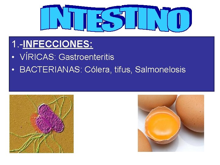 1. -INFECCIONES: • VÍRICAS: Gastroenteritis • BACTERIANAS: Cólera, tifus, Salmonelosis 