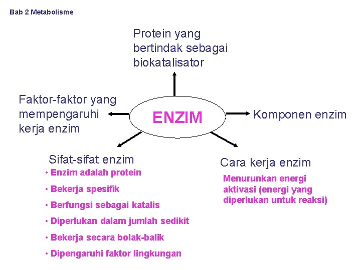 Bab 2 Metabolisme Protein yang bertindak sebagai biokatalisator Faktor-faktor yang mempengaruhi kerja enzim ENZIM