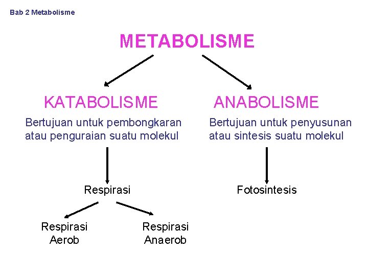 Bab 2 Metabolisme METABOLISME KATABOLISME Bertujuan untuk pembongkaran atau penguraian suatu molekul Respirasi Aerob