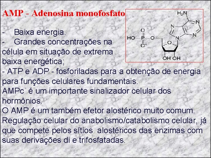 AMP - Adenosina monofosfato - Baixa energia. - Grandes concentrações na célula em situação
