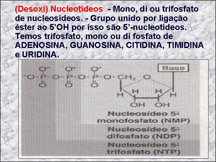 (Desoxi) Nucleotídeos - Mono, di ou trifosfato de nucleosídeos. - Grupo unido por ligação