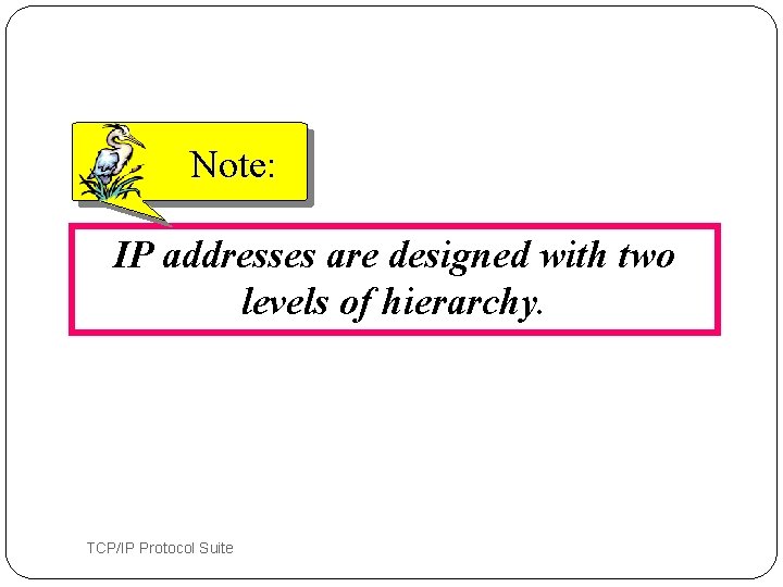 Note: IP addresses are designed with two levels of hierarchy. 53 TCP/IP Protocol Suite