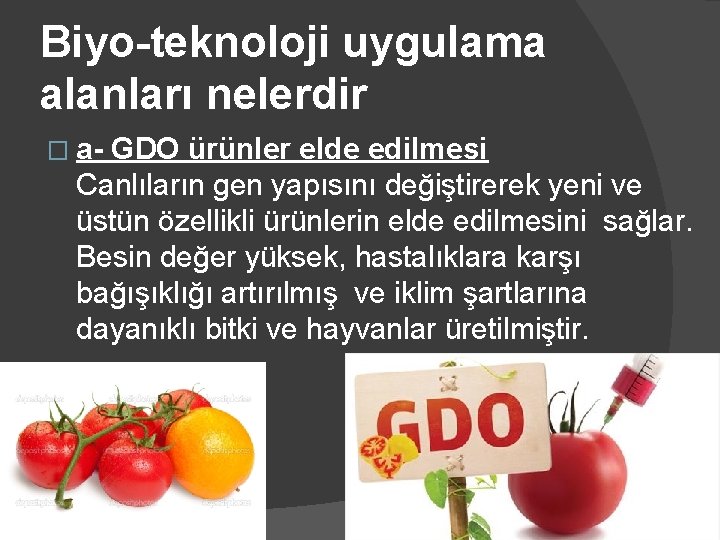 Biyo-teknoloji uygulama alanları nelerdir � a- GDO ürünler elde edilmesi Canlıların gen yapısını değiştirerek