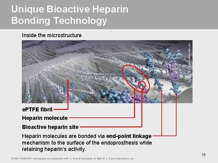 Unique Bioactive Heparin Bonding Technology Inside the microstructure e. PTFE fibril Heparin molecule Bioactive