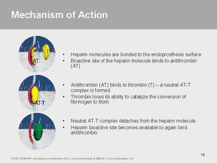 Mechanism of Action • • Heparin molecules are bonded to the endoprosthesis surface Bioactive