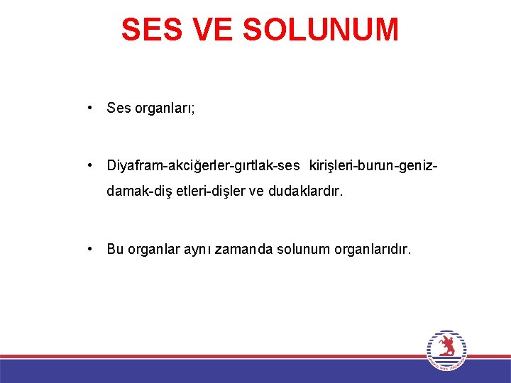 SES VE SOLUNUM • Ses organları; • Diyafram-akciğerler-gırtlak-ses kirişleri-burun-genizdamak-diş etleri-dişler ve dudaklardır. • Bu