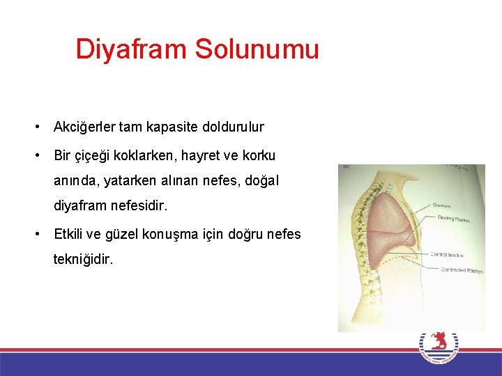 Diyafram Solunumu • Akciğerler tam kapasite doldurulur • Bir çiçeği koklarken, hayret ve korku