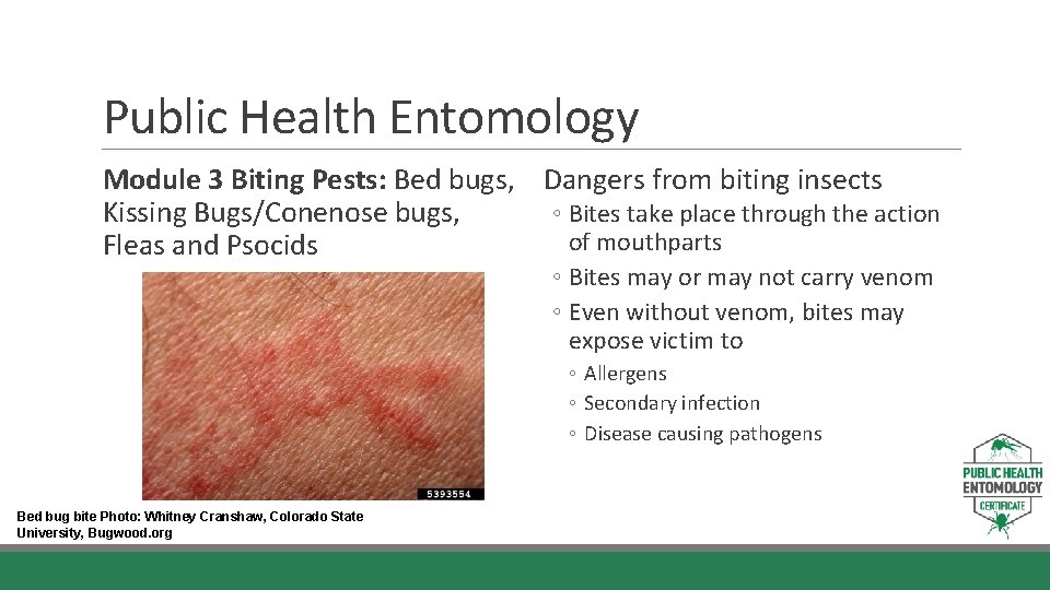 Public Health Entomology Module 3 Biting Pests: Bed bugs, Dangers from biting insects Kissing