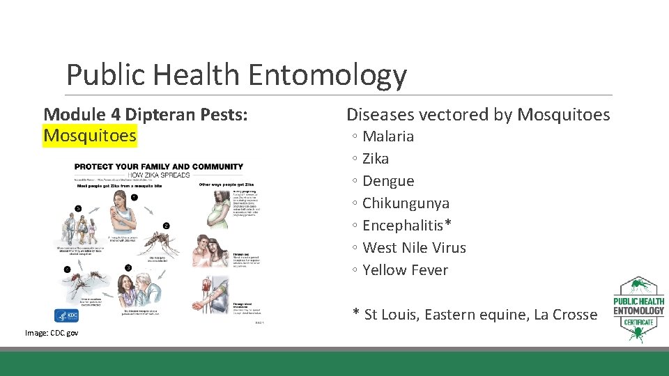 Public Health Entomology Module 4 Dipteran Pests: Mosquitoes Diseases vectored by Mosquitoes ◦ Malaria