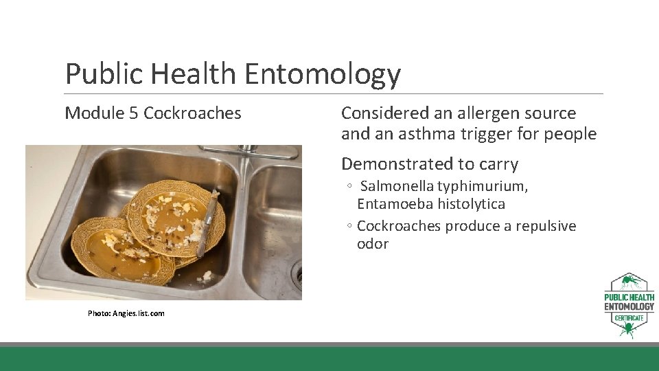 Public Health Entomology Module 5 Cockroaches Considered an allergen source and an asthma trigger