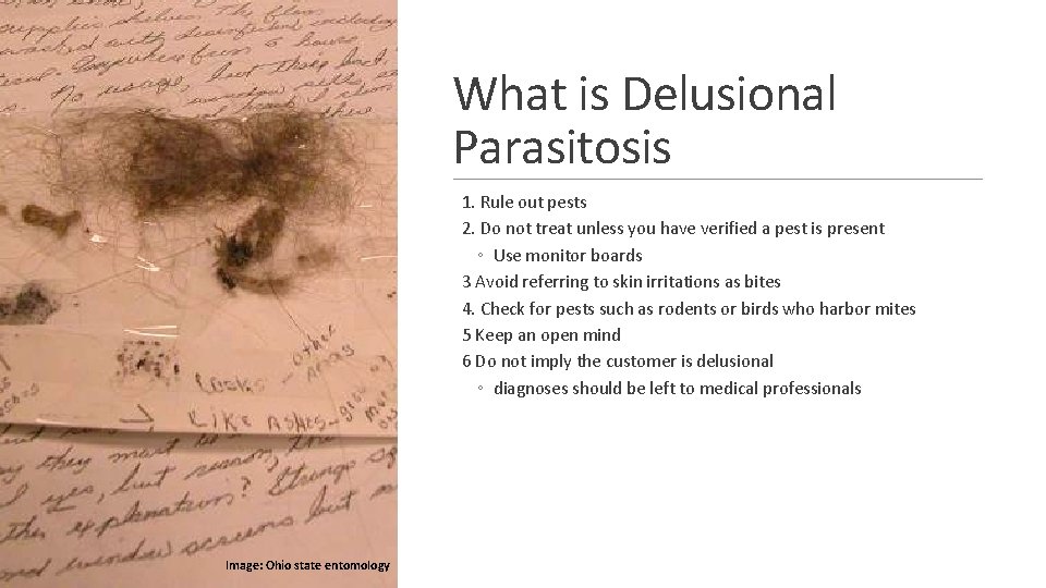 What is Delusional Parasitosis 1. Rule out pests 2. Do not treat unless you