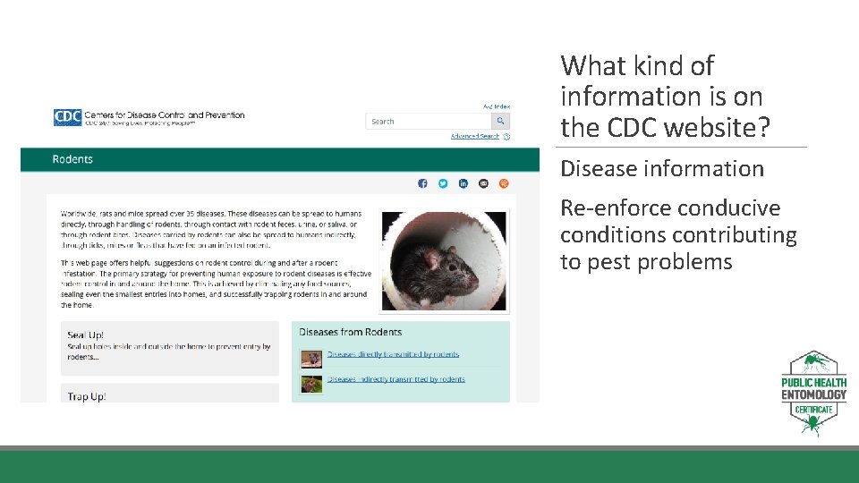 What kind of information is on the CDC website? Disease information Re-enforce conducive conditions