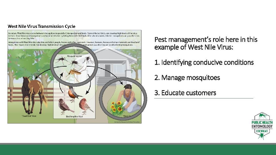 Pest management’s role here in this example of West Nile Virus: 1. Identifying conducive