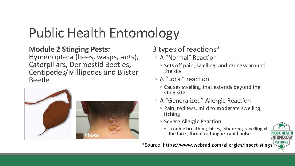 Public Health Entomology Module 2 Stinging Pests: Hymenoptera (bees, wasps, ants), Caterpillars, Dermestid Beetles,