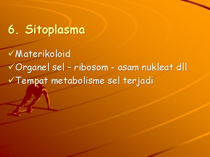 6. Sitoplasma üMaterikoloid üOrganel sel – ribosom - asam nukleat dll üTempat metabolisme sel