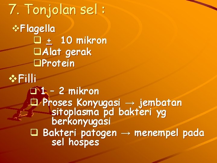 7. Tonjolan sel : v. Flagella q + 10 mikron q. Alat gerak q.