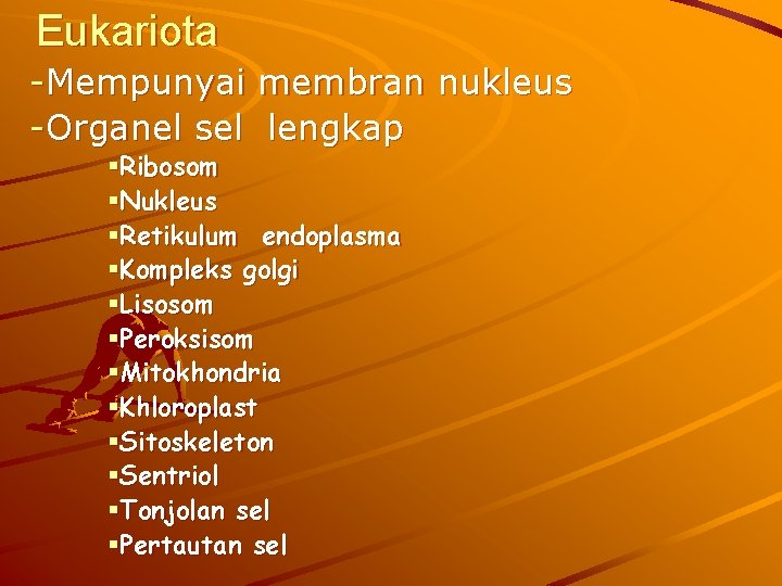 Eukariota -Mempunyai membran nukleus -Organel sel lengkap §Ribosom §Nukleus §Retikulum endoplasma §Kompleks golgi §Lisosom