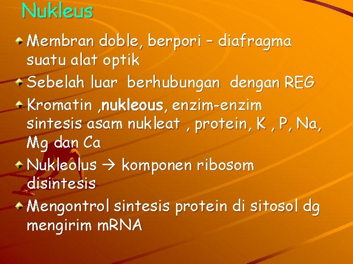 Nukleus Membran doble, berpori – diafragma suatu alat optik Sebelah luar berhubungan dengan REG