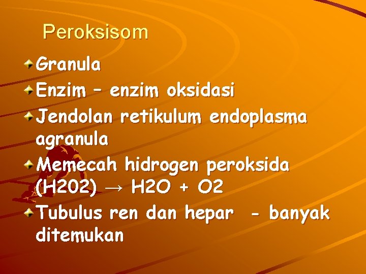 Peroksisom Granula Enzim – enzim oksidasi Jendolan retikulum endoplasma agranula Memecah hidrogen peroksida (H