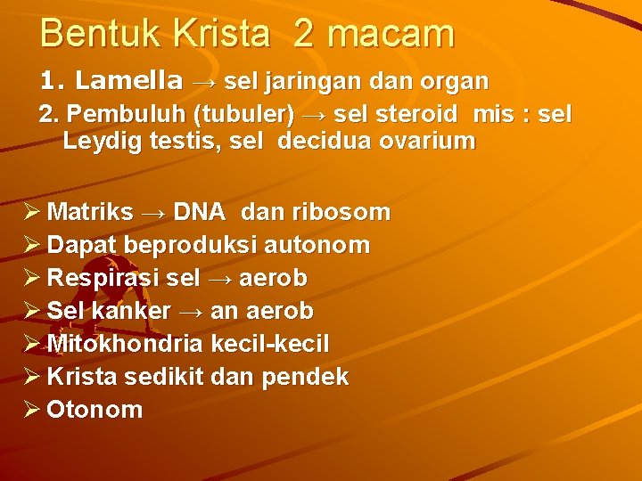 Bentuk Krista 2 macam 1. Lamella → sel jaringan dan organ 2. Pembuluh (tubuler)