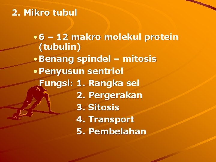 2. Mikro tubul • 6 – 12 makro molekul protein (tubulin) • Benang spindel