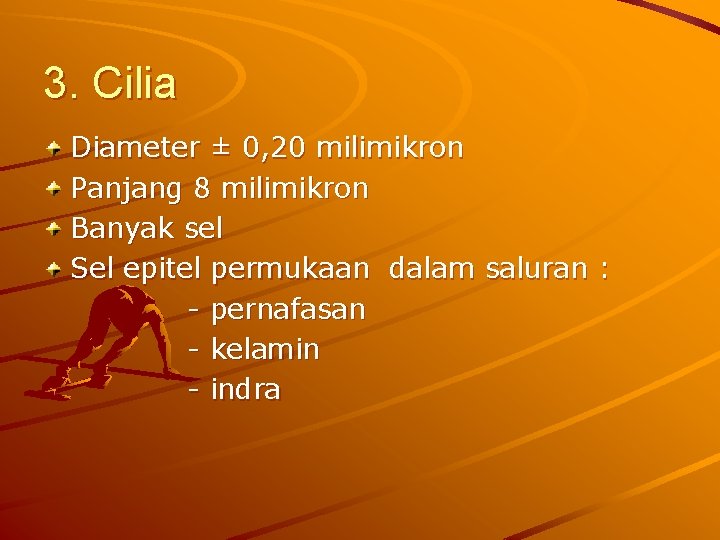 3. Cilia Diameter ± 0, 20 milimikron Panjang 8 milimikron Banyak sel Sel epitel