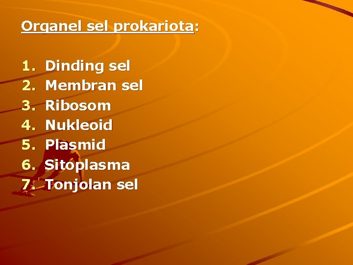 Organel sel prokariota: 1. 2. 3. 4. 5. 6. 7. Dinding sel Membran sel