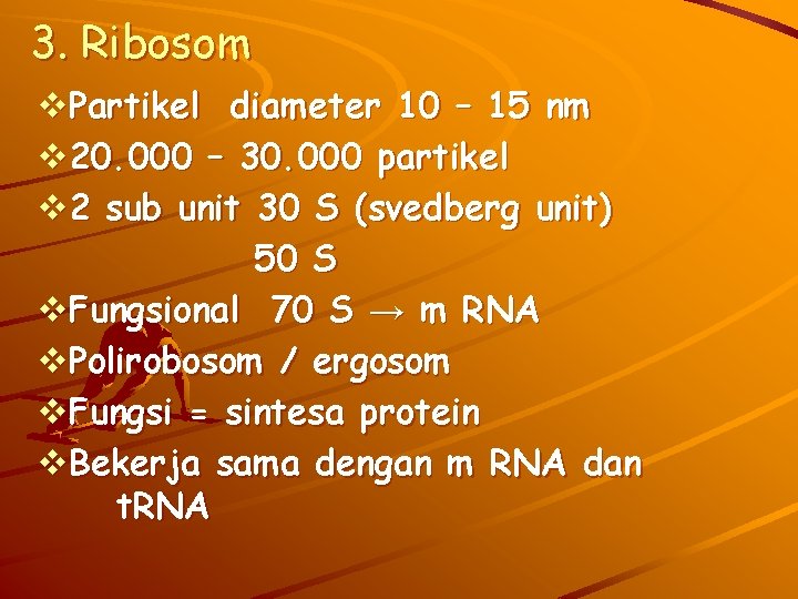 3. Ribosom v. Partikel diameter 10 – 15 nm v 20. 000 – 30.