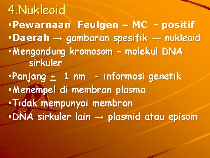 4. Nukleoid §Pewarnaan Feulgen – MC - positif §Daerah → gambaran spesifik → nukleoid
