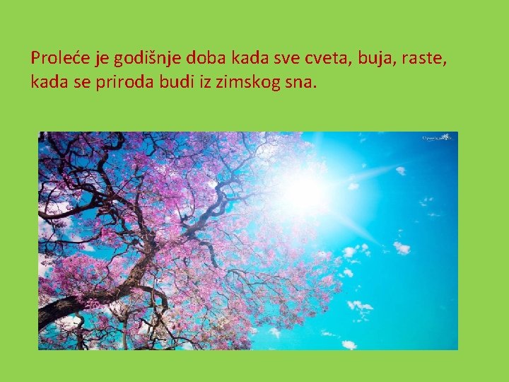 Proleće je godišnje doba kada sve cveta, buja, raste, kada se priroda budi iz