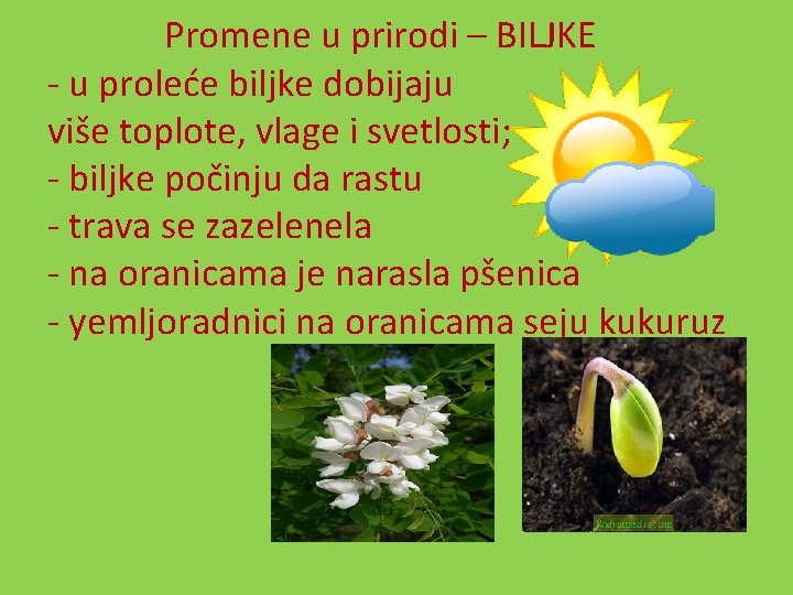  Promene u prirodi – BILJKE - u proleće biljke dobijaju više toplote, vlage