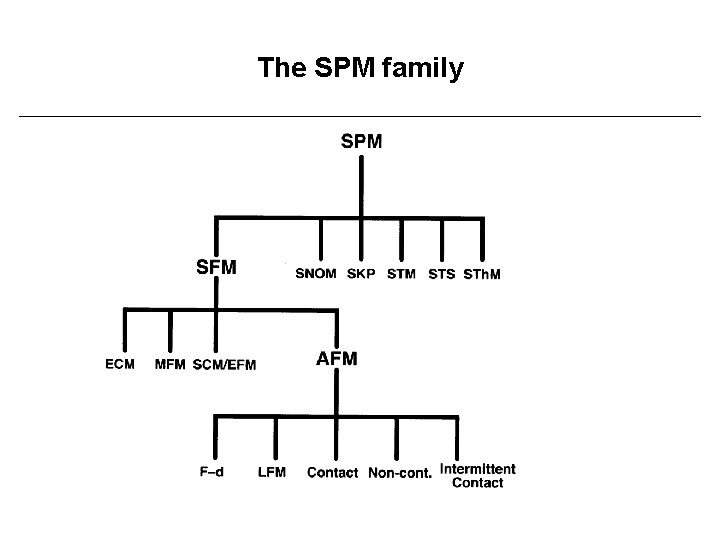 The SPM family 