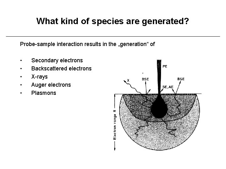 What kind of species are generated? Probe-sample interaction results in the „generation“ of •