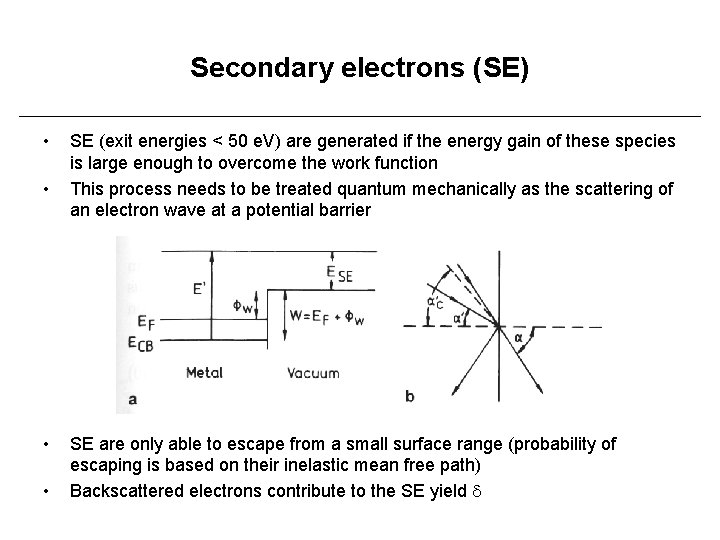 Secondary electrons (SE) • • SE (exit energies < 50 e. V) are generated
