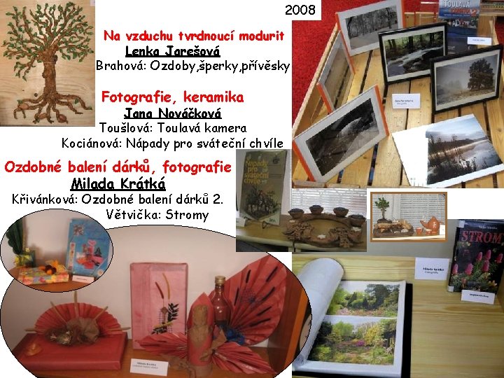 2008 Na vzduchu tvrdnoucí modurit Lenka Jarešová Brahová: Ozdoby, šperky, přívěsky Fotografie, keramika Jana