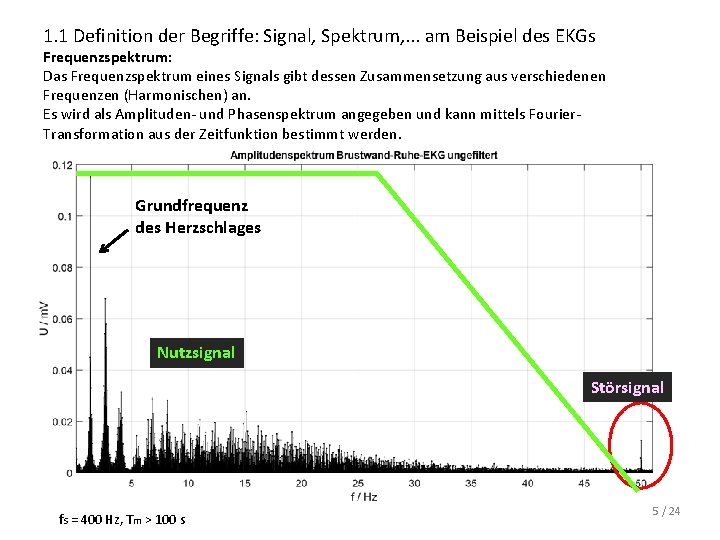 1. 1 Definition der Begriffe: Signal, Spektrum, . . . am Beispiel des EKGs