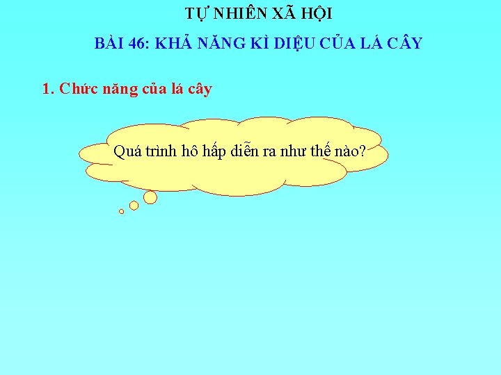 TỰ NHIÊN XÃ HỘI BÀI 46: KHẢ NĂNG KÌ DIỆU CỦA LÁ C Y