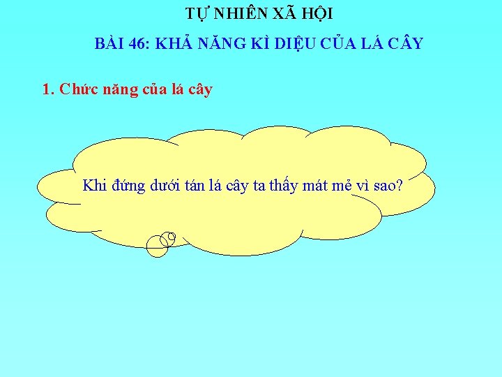 TỰ NHIÊN XÃ HỘI BÀI 46: KHẢ NĂNG KÌ DIỆU CỦA LÁ C Y