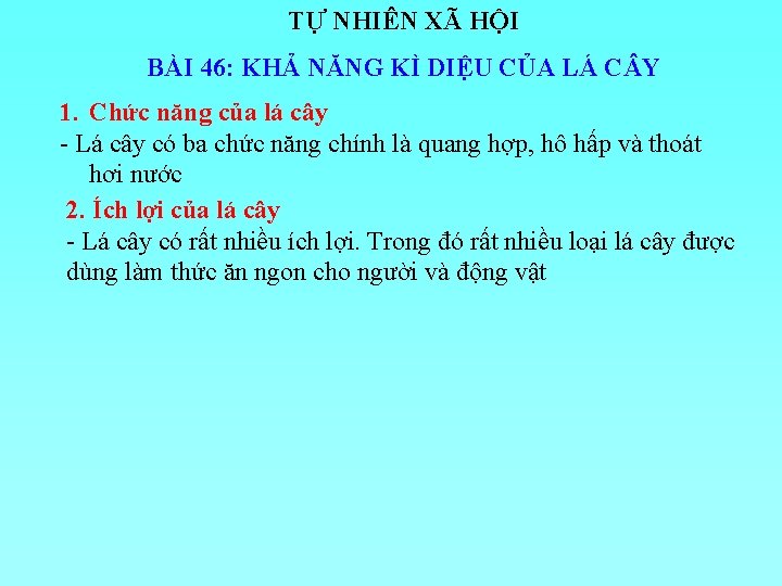 TỰ NHIÊN XÃ HỘI BÀI 46: KHẢ NĂNG KÌ DIỆU CỦA LÁ C Y