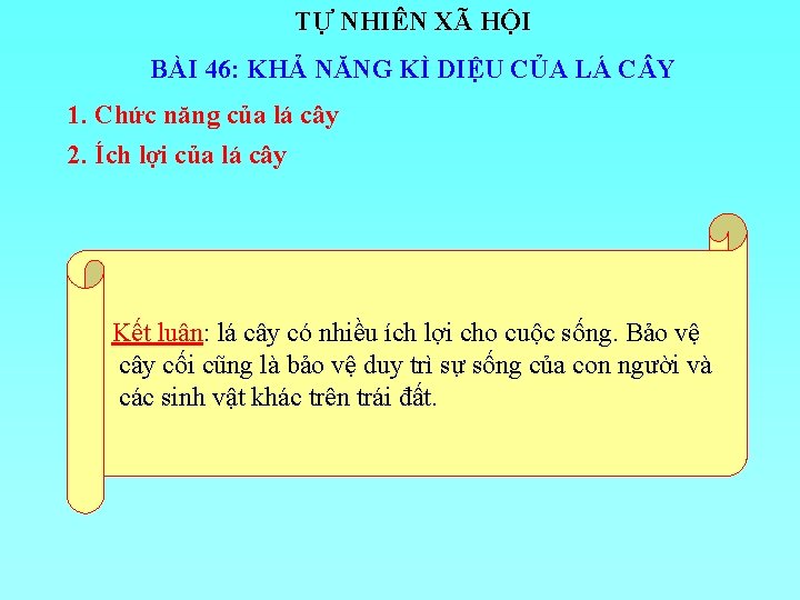 TỰ NHIÊN XÃ HỘI BÀI 46: KHẢ NĂNG KÌ DIỆU CỦA LÁ C Y