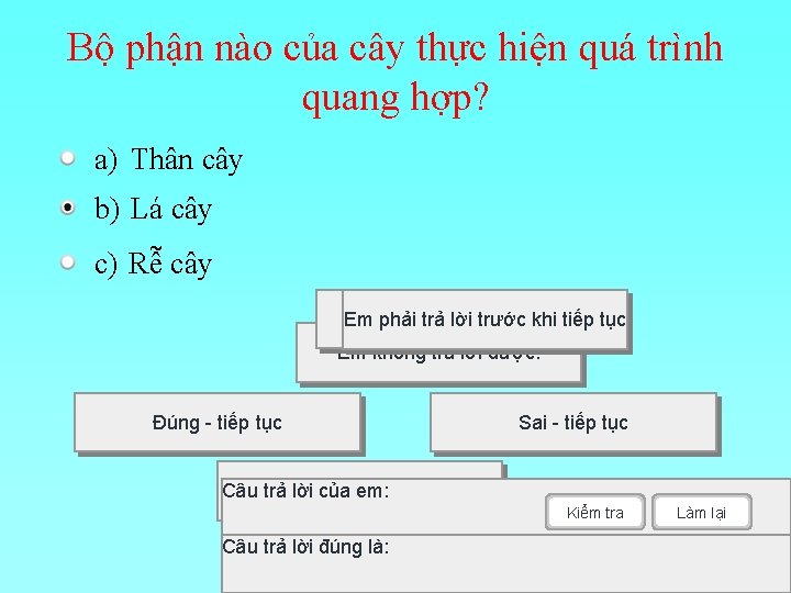 Bộ phận nào của cây thực hiện quá trình quang hợp? a) Thân cây