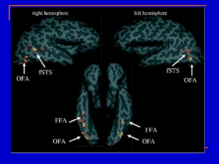 Visual preparation for social interaction n Fusiform Face Area (FFA; Kanwisher’s work) q Domain-Specific
