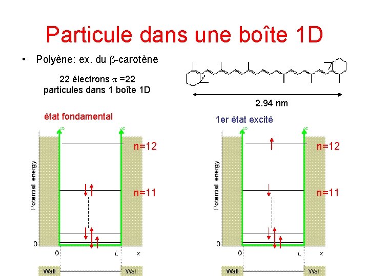 Particule dans une boîte 1 D • Polyène: ex. du b-carotène 22 électrons p