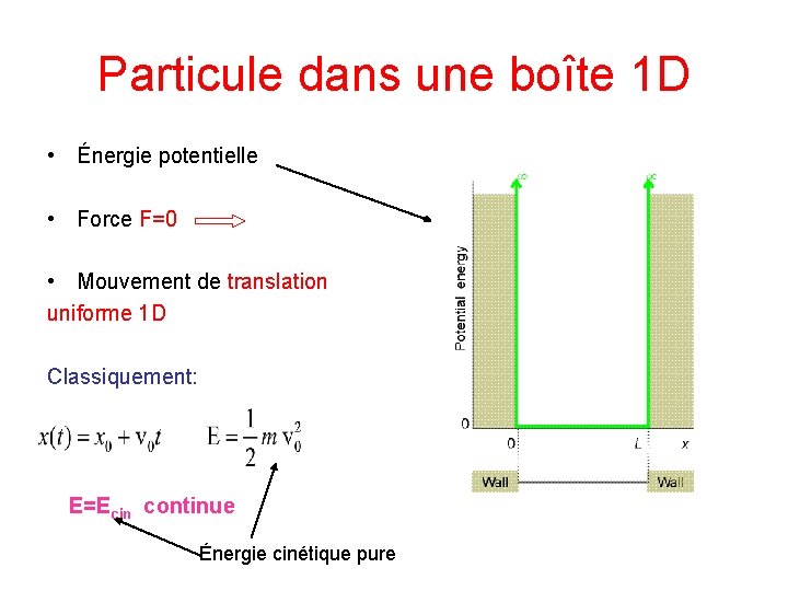 Particule dans une boîte 1 D • Énergie potentielle • Force F=0 • Mouvement