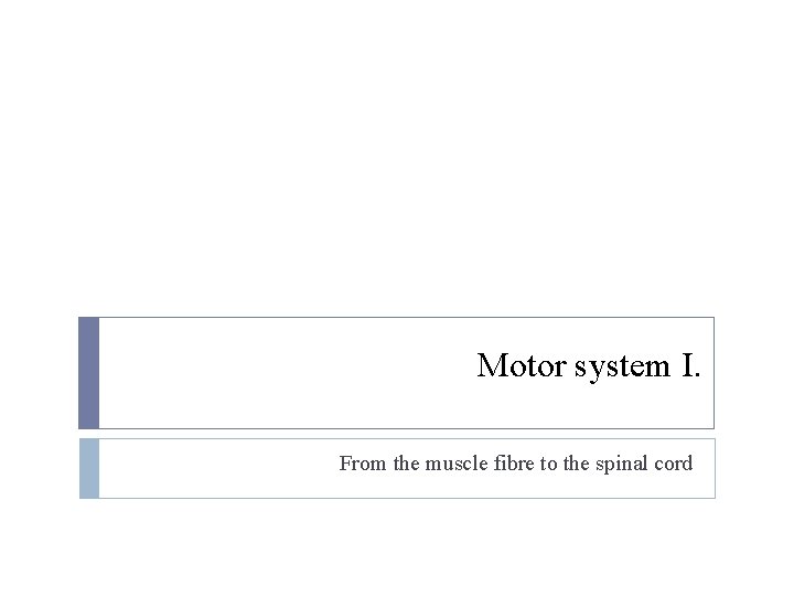 Motor system I. From the muscle fibre to the spinal cord 