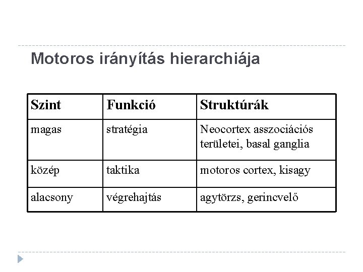 Motoros irányítás hierarchiája Szint Funkció Struktúrák magas stratégia Neocortex asszociációs területei, basal ganglia közép